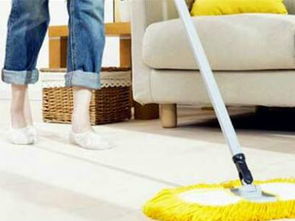 菲式管家家政加盟人氣解析 專業(yè)服務(wù)與市場(chǎng)潛力并存